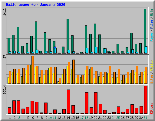 Daily usage for January 2026