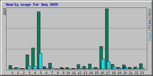 Hourly usage for May 2025