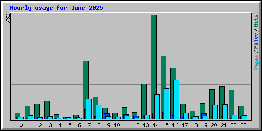 Hourly usage for June 2025