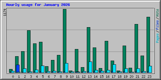 Hourly usage for January 2026